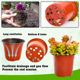 Bottom drainage holes in TDHDIKE pots promote soil drainage and healthy roots.