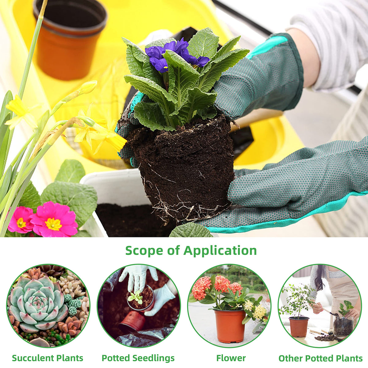 TDHDIKE seed starting pots ideal for seedlings, cuttings, and transplanting.