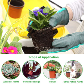 TDHDIKE seed starting pots ideal for seedlings, cuttings, and transplanting.