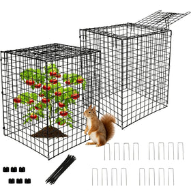 TDMCKRSHWAY Garden Wire Cloche extralarge shields tall plants from animals while sun shines through.