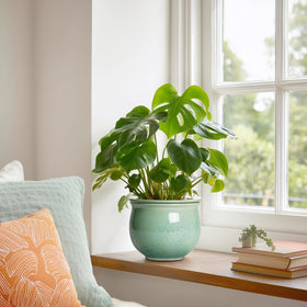 Teagas 6-inch African violet pot decorative centerpiece with handcrafted charm to elevate room decor.