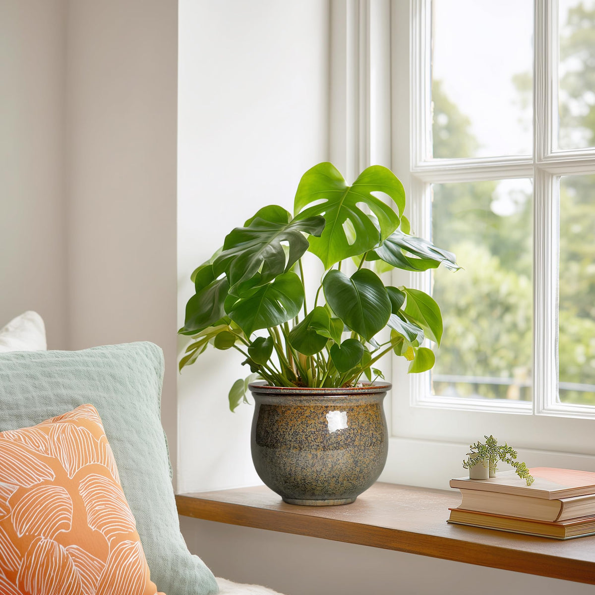 Teagas African violet pot ideal for compact indoor spaces and decorative display.
