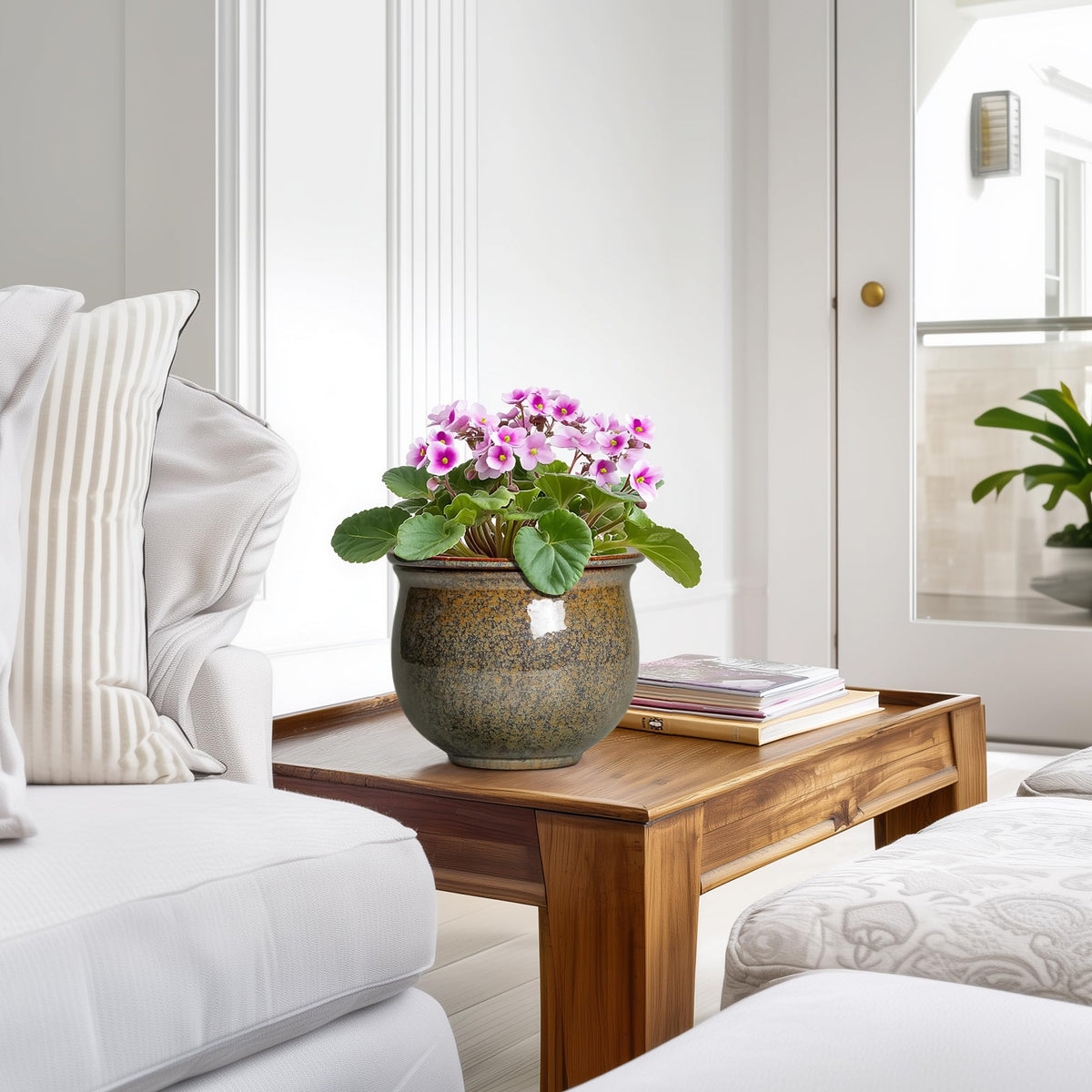 Teagas gift-ready planter perfect for housewarmings and plant lovers.