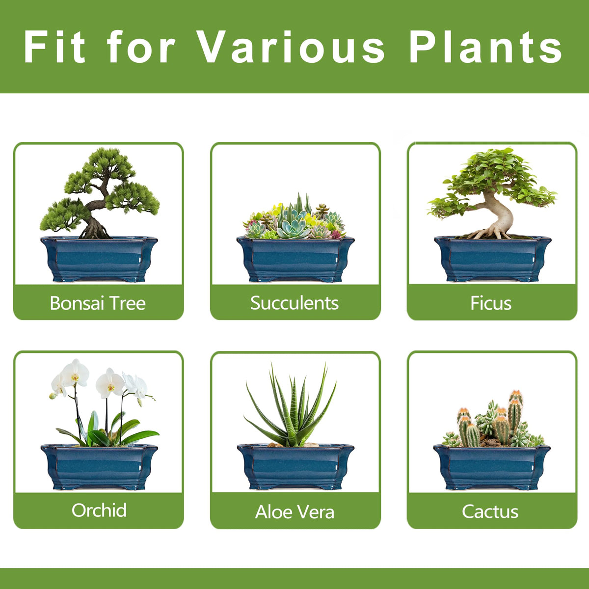 Teagas Bonsai Pot makes a thoughtful gift for plant lovers.