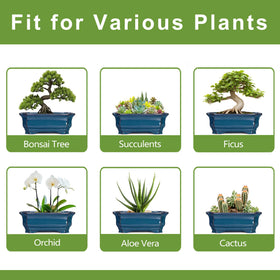 Teagas Bonsai Pot makes a thoughtful gift for plant lovers.