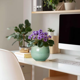 Teagas ceramic pot glazed interior-exterior offers a polished look for stylish home decor.
