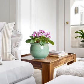 Teagas gift-ready ceramic pot suits plant lovers for birthdays or housewarmings.
