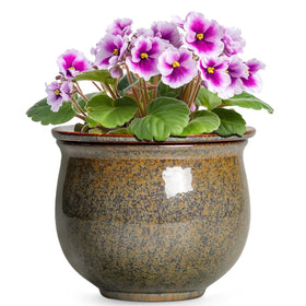 Teagas self-watering planter outer pot with yellowish-brown glaze eases moisture control.