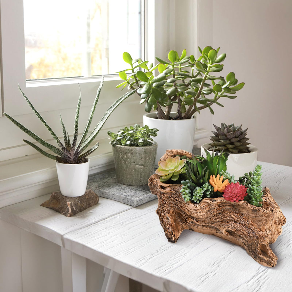 Tebery stump planter ready for small succulents and herbs on shelves