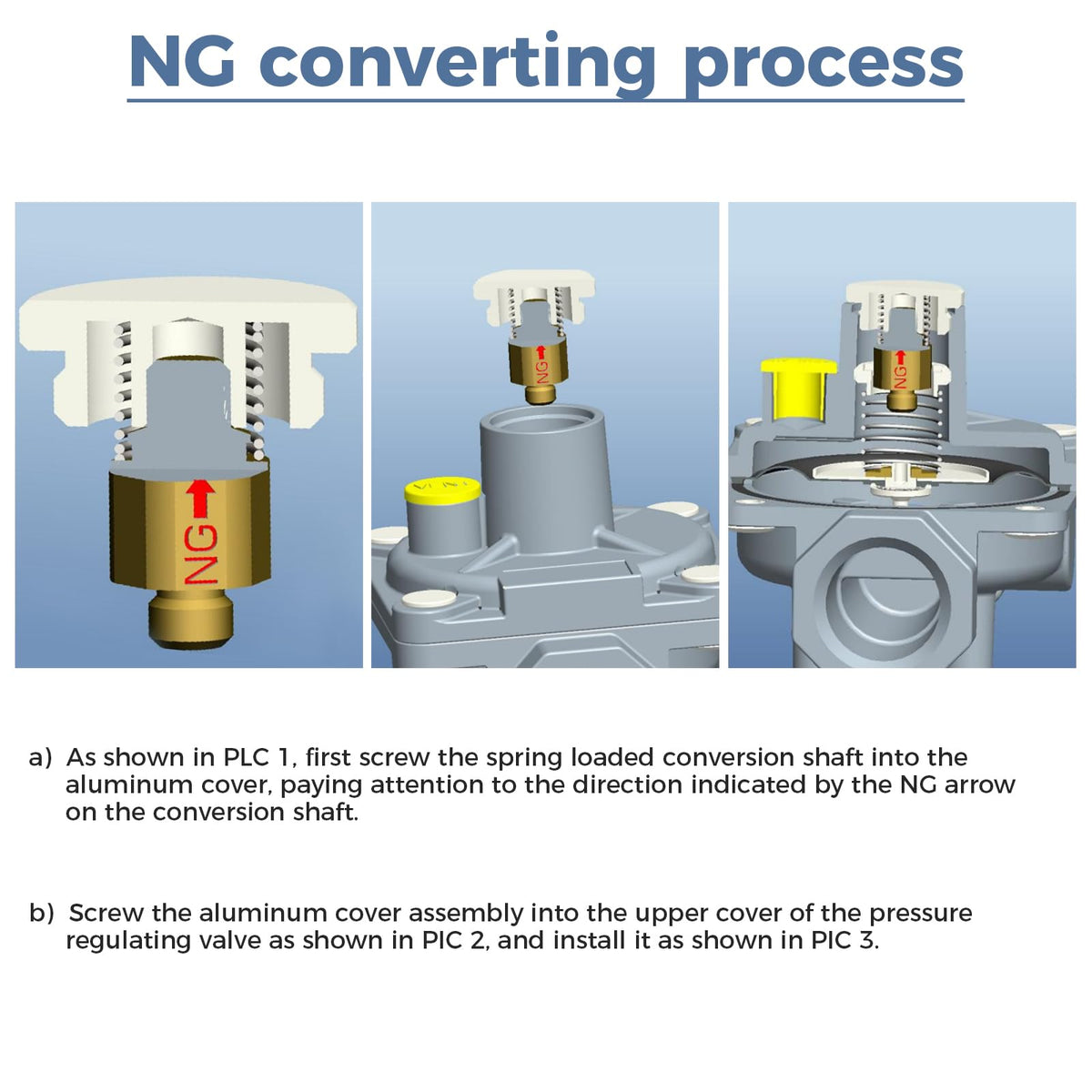 TEENGSE natural gas regulator mounted for NG/LPG applications at home.