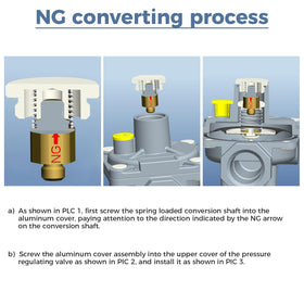 TEENGSE natural gas regulator mounted for NG/LPG applications at home.