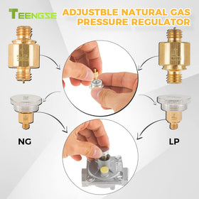 TEENGSE regulator in use with grill demonstrating practical NG/LPG compatibility.