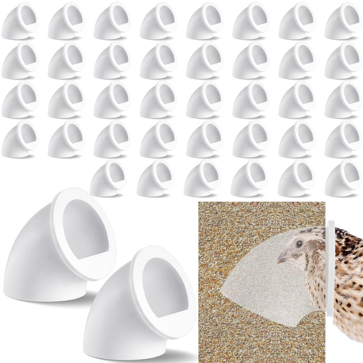 Teenyyou quail feeder port, one-and-a-half-inch opening, reduces feed waste and keeps coops cleaner.