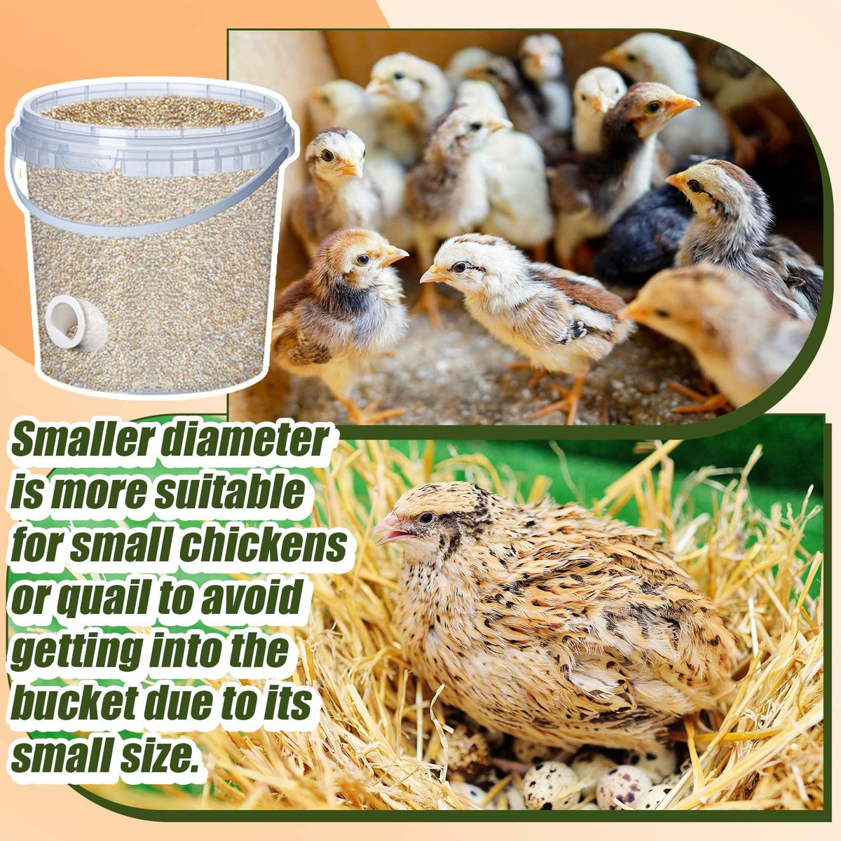 Teenyyou quail feeder port, one-and-a-half-inch opening, compatible with bucket setups.