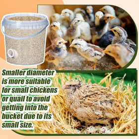 Teenyyou quail feeder port, one-and-a-half-inch opening, compatible with bucket setups.