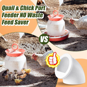 Teenyyou white quail feeder port supports clean feeding in small poultry farms.