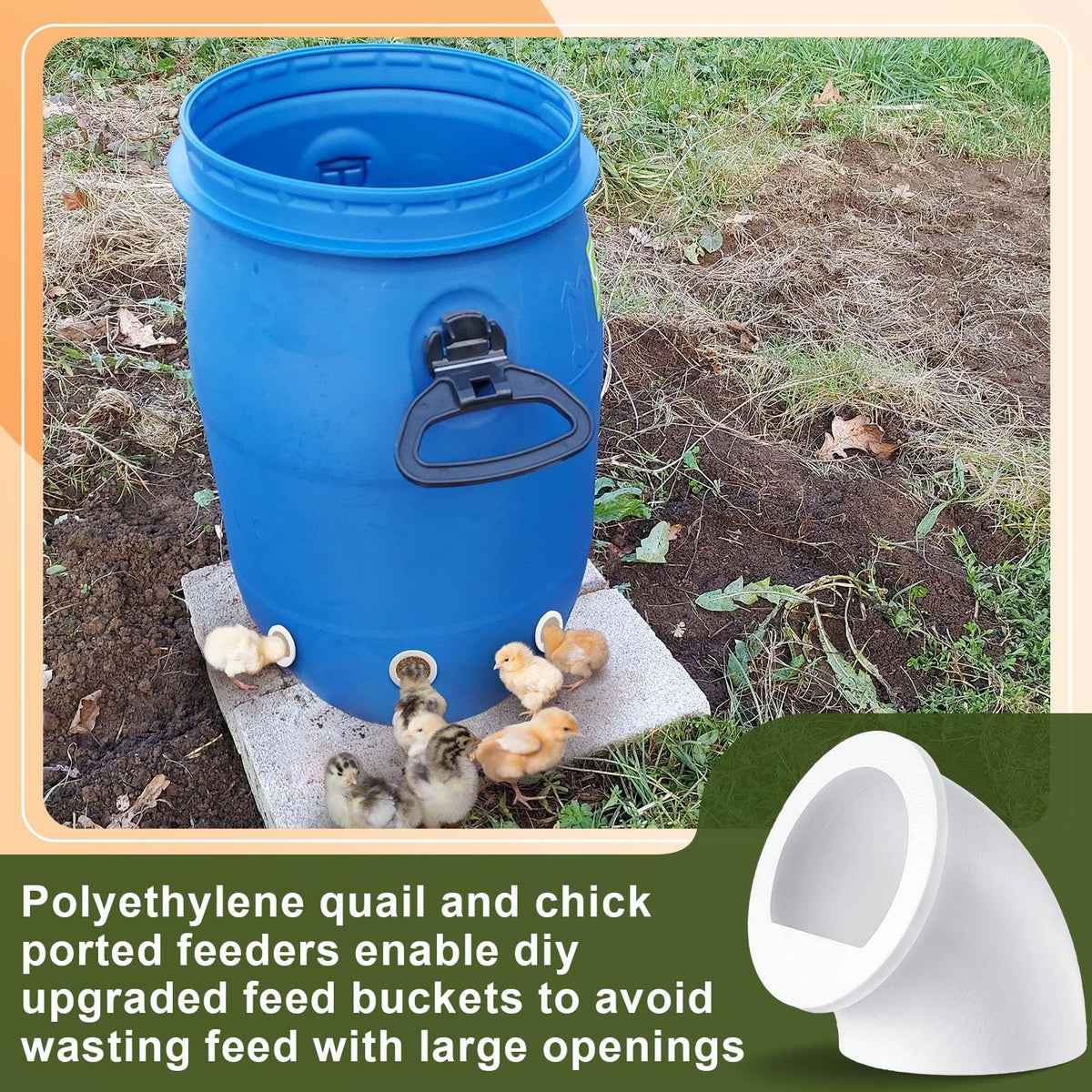 Teenyyou quail feeder port set enables easy DIY feed buckets and mess reduction.