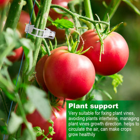 TEFITINA cucumber clip guides growth without harming vines.