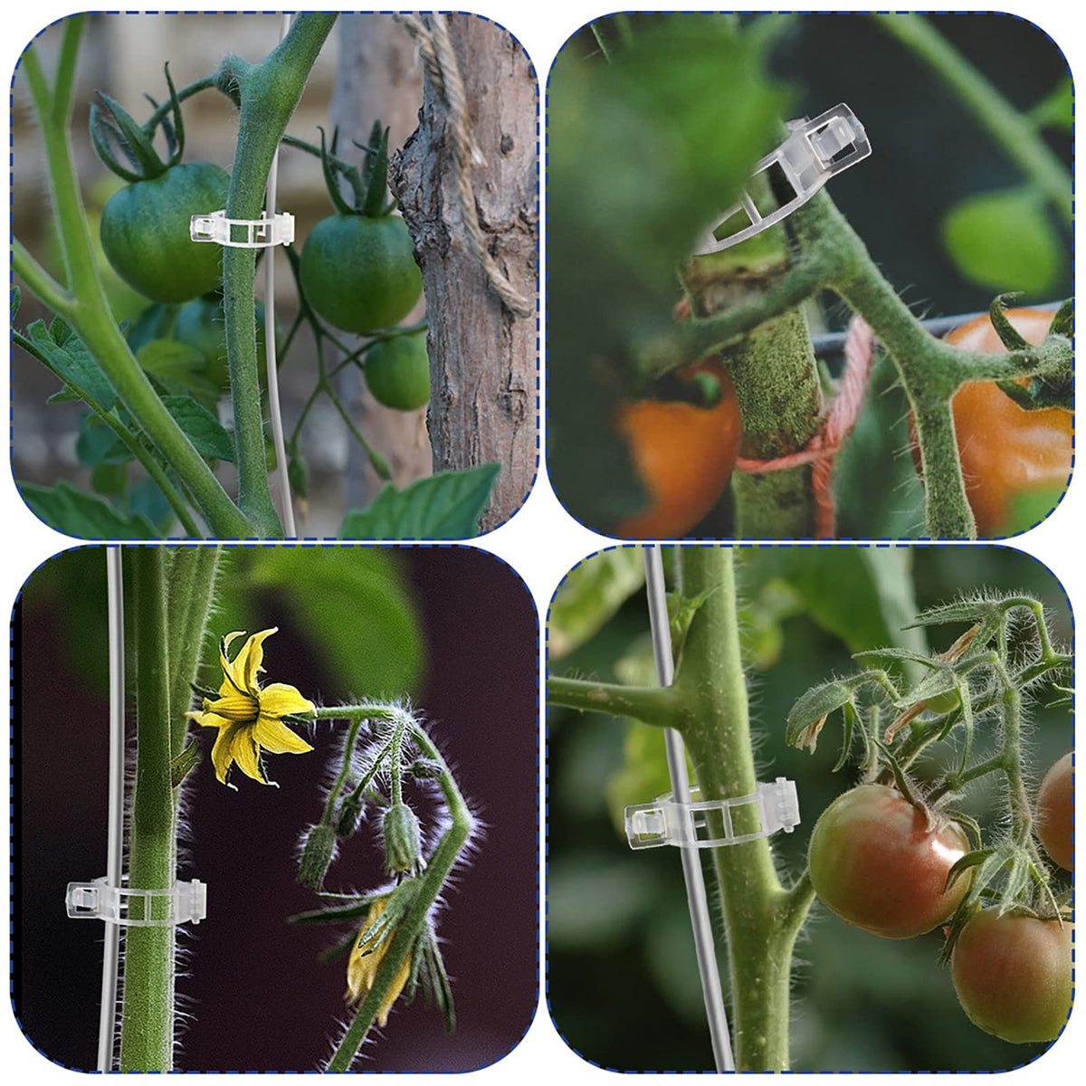 TEFITINA packaging image showing 200 clips ready for garden use.