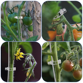 TEFITINA packaging image showing 200 clips ready for garden use.