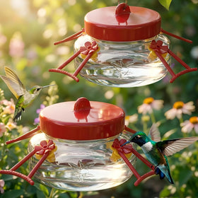 Tegarbed 2-pack mason jar hummingbird feeders for outdoors and decor.