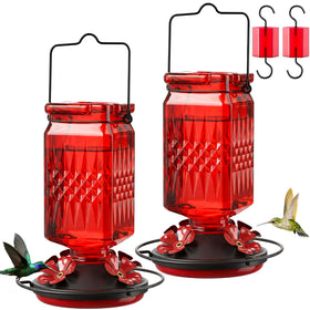 Tegarbed 20oz glass hummingbird feeder in red ready for sunlit garden and year‑round use.
