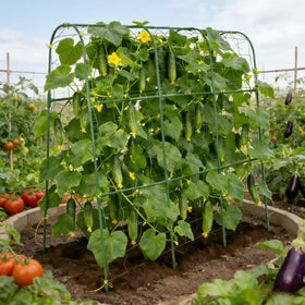 Tegarbed 48x46-inch trellis base provides stable anchoring for heavy vines