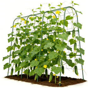 Tegarbed cucumber trellis assembly demonstrates a sturdy rust-resistant frame for climbing plants