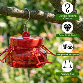 Garden-ready Tegarbed hummingbird feeder adds color and movement to outdoor spaces.