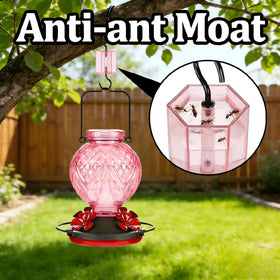 Tegarbed built-in ant moat helps deter ants from nectar.