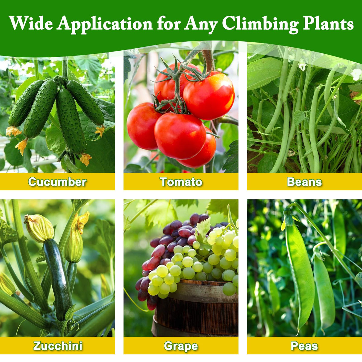 Tegarbed versatile plant-support works with cucumbers, tomatoes, grapes, beans