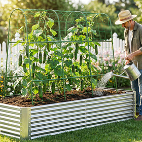Tegarbed raised-bed and patio use keeps garden spaces neat and productive