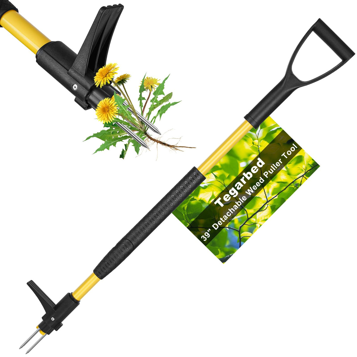 Tegarbed stand-up weed puller assembly improves setup efficiency in your garden