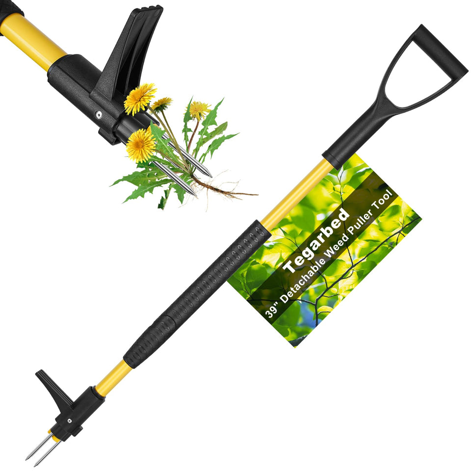 Tegarbed stand-up weed puller assembly improves setup efficiency in your garden