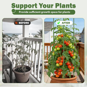 Tegarbed cage with pointed ends for easy soil insertion.