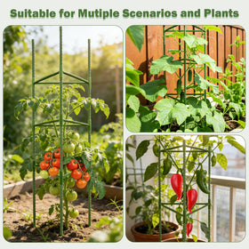 Tegarbed versatile setup for in-ground beds or potted patios.