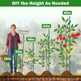 Tegarbed trellis design setup offers versatile support options for climbing vegetables.