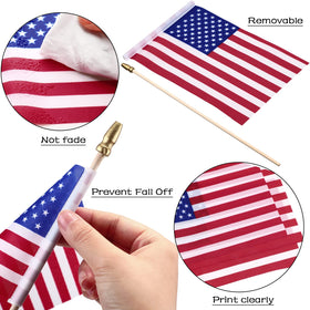 Tegeme flag on stick 5x8, vibrant for celebrations and classroom displays.