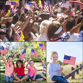 Tegeme miniature US flags on 16.3-inch sticks.