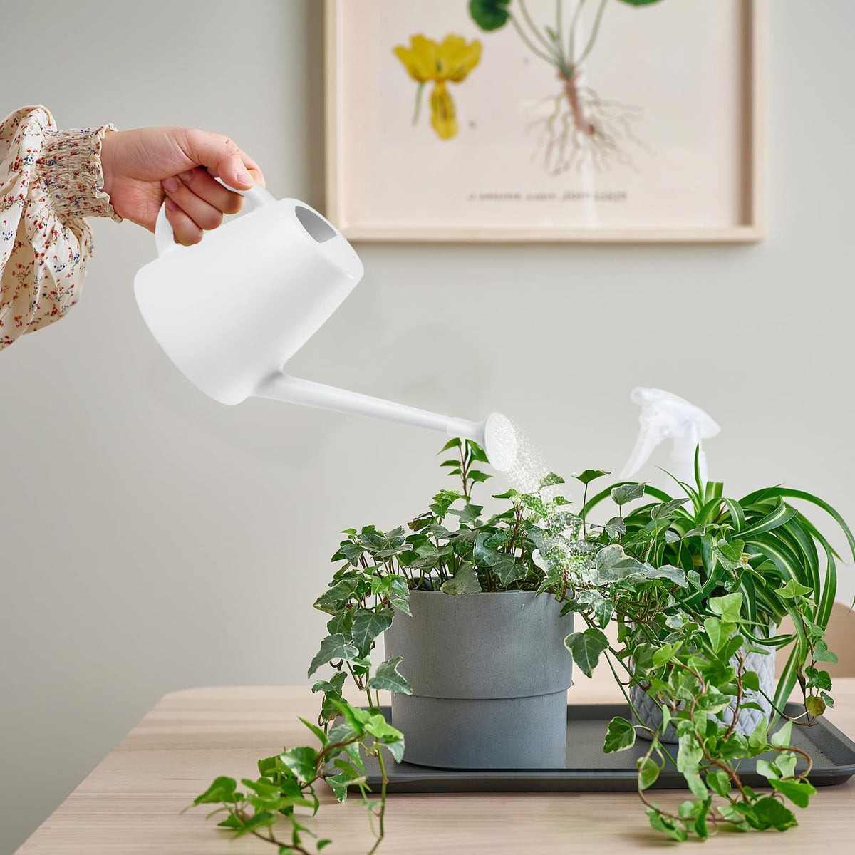 TEIUKAX watering can ideal for flowers and houseplants with precise delivery.
