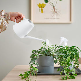 TEIUKAX watering can ideal for flowers and houseplants with precise delivery.