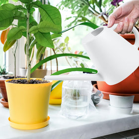 TEIUKAX watering can suitable for indoor and outdoor use.