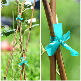 TELENT OUTDOORS climbing plant support in a garden setting