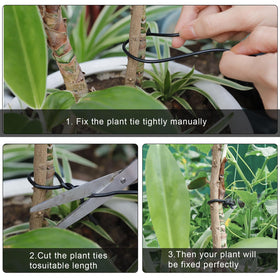 TELENT OUTDOORS durable plant support ties help keep plants neat