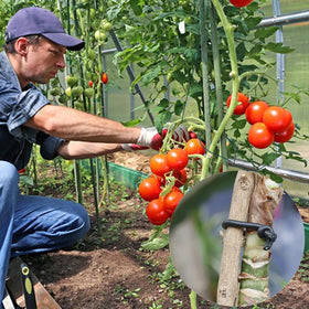 TELENT OUTDOORS soft plant ties support vines without damage to stems