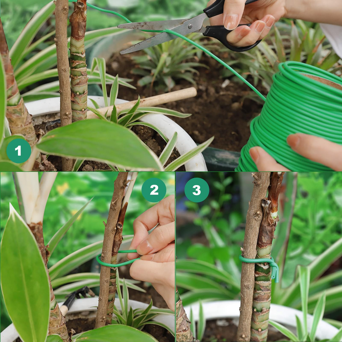 TELENT OUTDOORS versatile plant-training wire for indoor or outdoor use