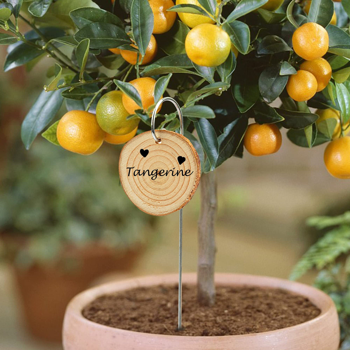 Temlum 25-pack garden markers help organize herbs, flowers, and vegetables.