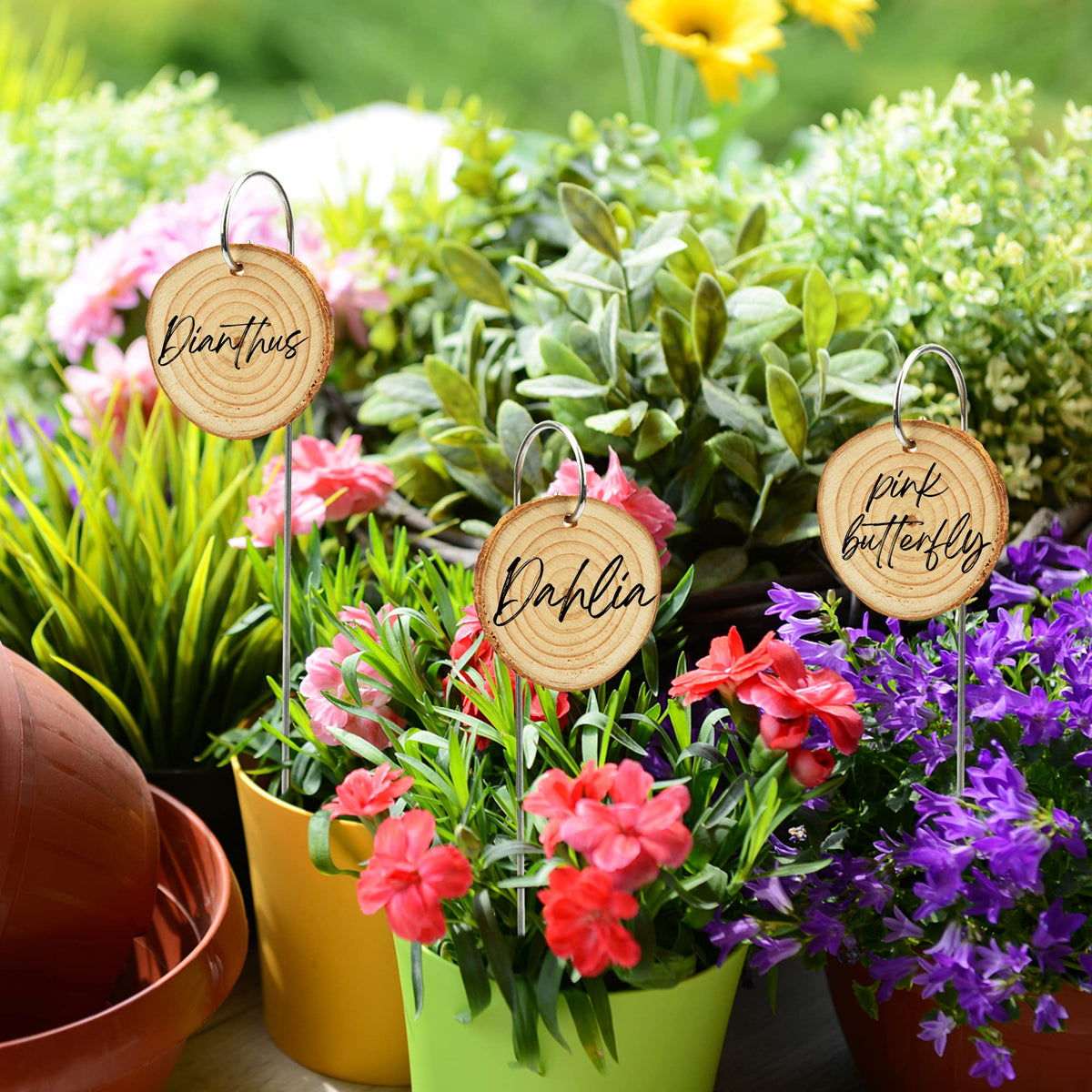 Temlum wooden labels show natural grain for rustic garden charm.