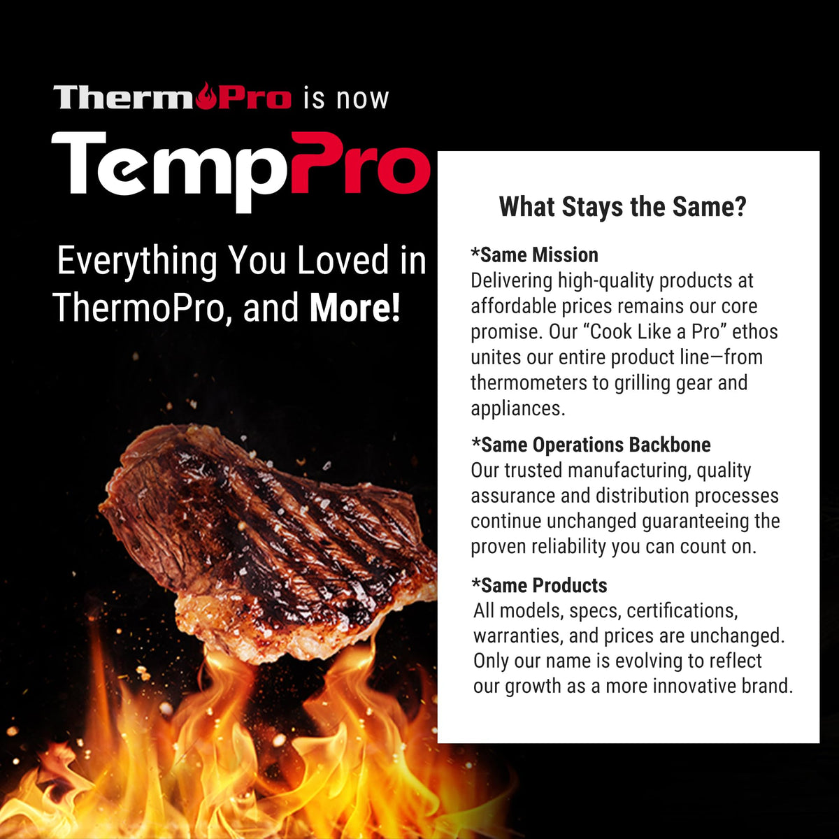 TempPro cleaning tool is ideal for tailgates and outdoor barbecues.