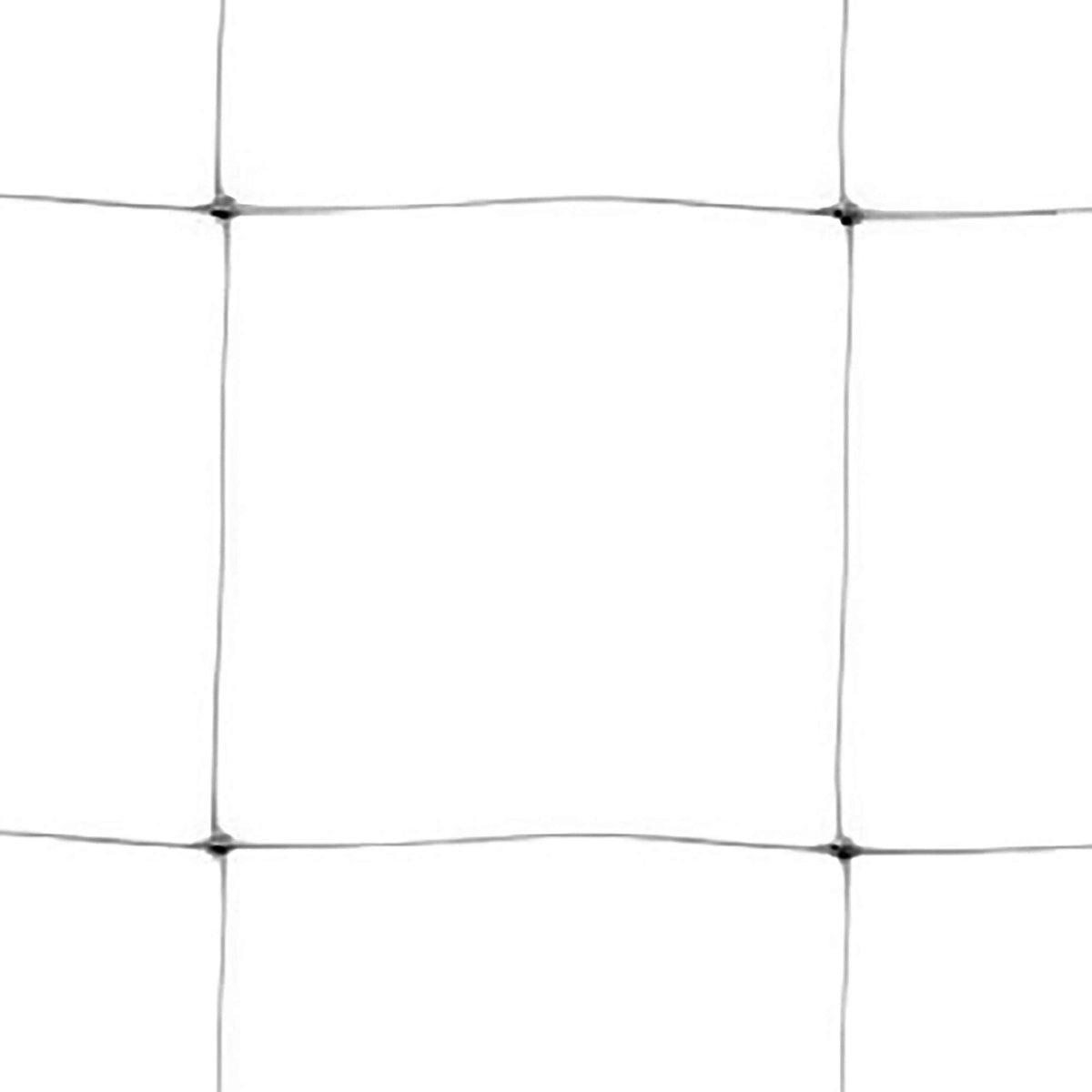 Close-up weave shows tight mesh for stable vine training